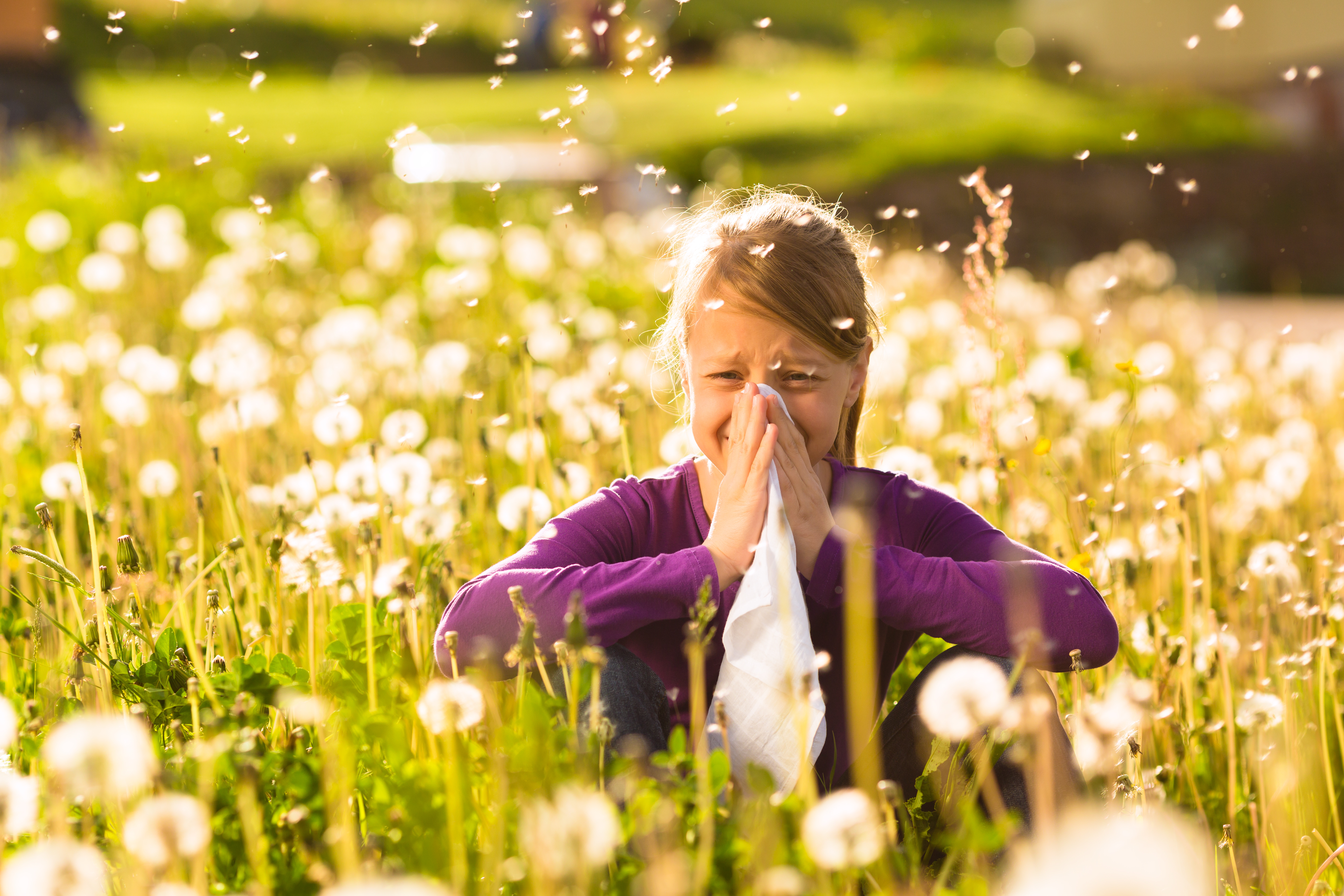 HOW TO PREVENT OR CLEAR ALLERGIES?