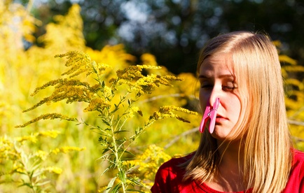 How to Survive Spring Allergies
